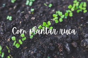 ruca-eruga-rucula-com-plantar-test